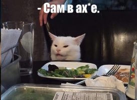 Смешные и познавательные картинки