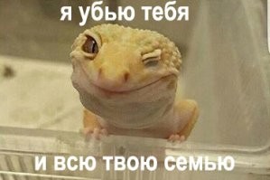 Свежие демотиваторы