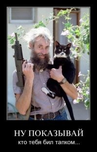 Кот проломил потолок в магазине во время драки с конкурентом