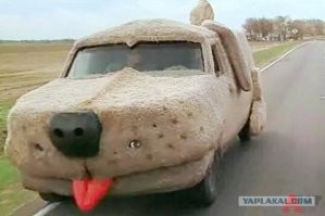 Приколы февраля 