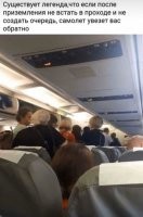 Эти же дегенераты точно так же толпятся и на посадке. 


Нахрена стоять полчаса в очереди на регистрацию, контроль и т. п., если можно, глядя на подобных идиотов, спокойно просидеть это время в кресле, а потом спокойно подойти и пройти все необходимые процедуры?