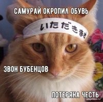 Образ кошки в демотиваторах