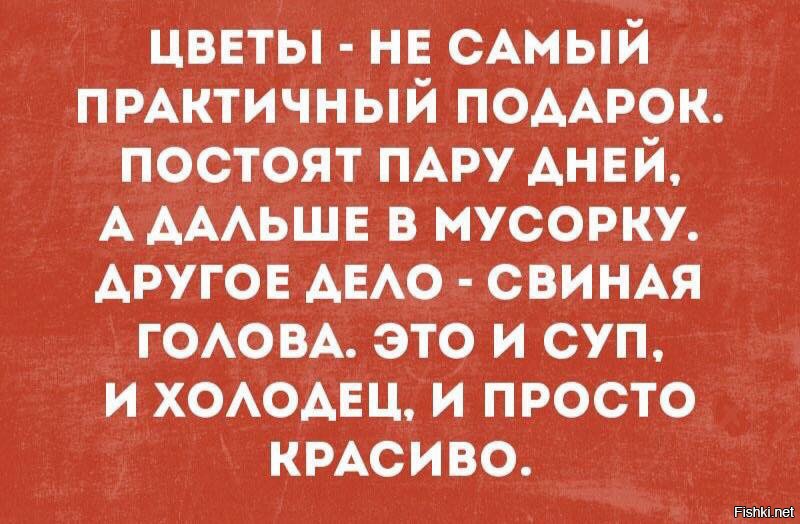 в самом деле было головой. ограничения мем. парикмахерские цитаты. в самом деле было головой. цитаты про парикмахеров.