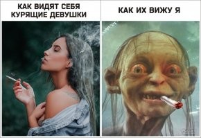 Смешные и познавательные картинки