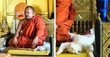 Прикольные фото и картинки