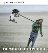 Веселые  картинки