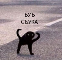 Родня?..