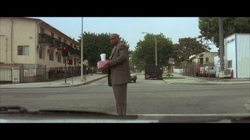 Смешные и познавательные картинки