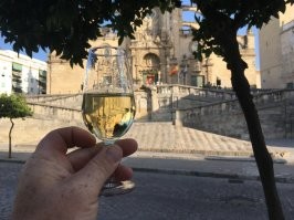 В бокале херес,  город Херес, на заднем плане собор, где начинается праздник урожая, закладки сока для производства хереса. Вы наверное перепутали с хересным бренди.