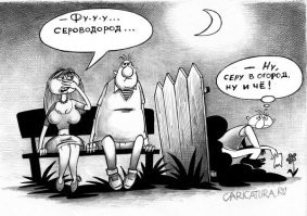Женщину на Аляске укусил медведь, живущий в туалете