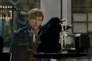 Прикольные фото и картинки