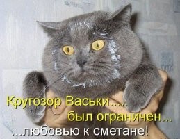 Смешные и познавательные картинки