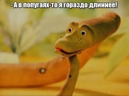 Сетчатый питон: Именно он, а не анаконда, — крупнейшая змея планеты. Какие стадии проходит этот монстр по мере роста?