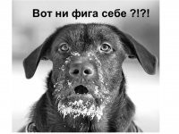 Веселые, интересные картинки