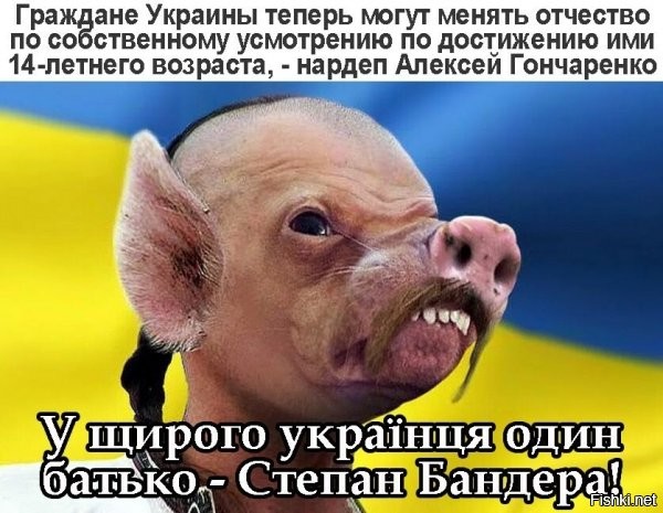 стадом сделали, историю искажают и запрещают, теперь вот, по сути, дают неокрепшим умам по собственному желанию забыть РОД.... всё идет по плану (с)