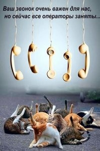 В техподдержке работаешь?