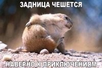 Три похотливые белки
