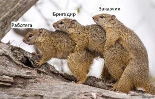 Три похотливые белки