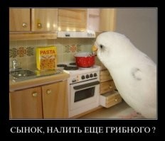 «SOS», обнаружено письмо американского моряка с эсминца «Замволт»