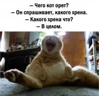 Скрины из соцсетей