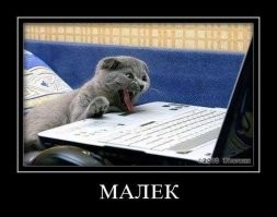 Кадры решают всё