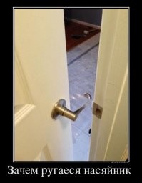 Веселые картинки из интернета