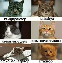 Кадры решают всё