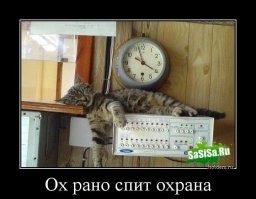 Кадры решают всё