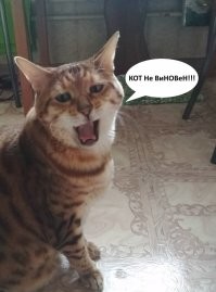 Веселые  картинки