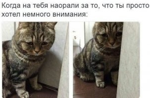 Веселые  картинки