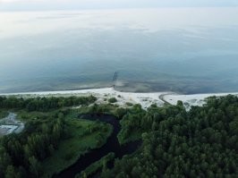 Ну а в чем проблема ? ну из  Курземе собачка :) море , реки озера :) Канерис , Слоке , Енгури  . А леса у нас какие :) А пляжи чистые и не то что в Юрмале или в Калгурятнике .