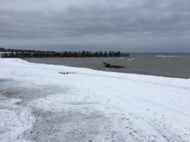 Ну а в чем проблема ? ну из  Курземе собачка :) море , реки озера :) Канерис , Слоке , Енгури  . А леса у нас какие :) А пляжи чистые и не то что в Юрмале или в Калгурятнике .
