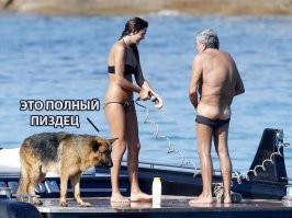 Смешные и познавательные картинки