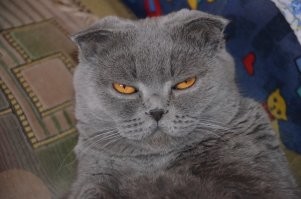 Это моя "владычица"