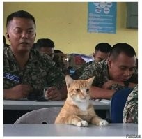 Кадры решают всё