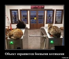 Кадры решают всё