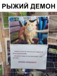 Кадры решают всё