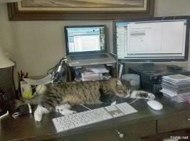 Кадры решают всё