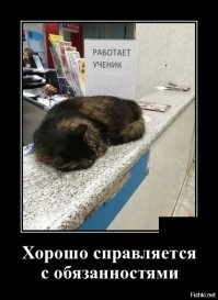 Кадры решают всё