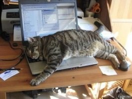 Кадры решают всё