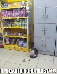 Кадры решают всё