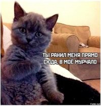 Минусатору сего поста:

.