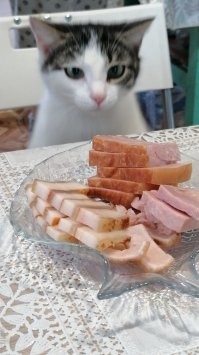 Кадры решают всё