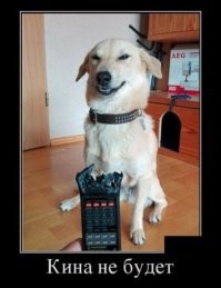 Веселые  картинки