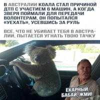 Веселые картинки из интернета