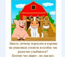 Смешные и познавательные картинки