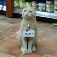 Кадры решают всё
