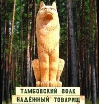 Лед на реке под школьниками провалился, но на помощь к людям вовремя пришёл волк