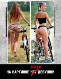 Смешные и познавательные картинки