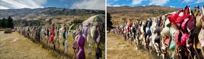 Что-нибудь в этом духе. 
Или японцам продают.